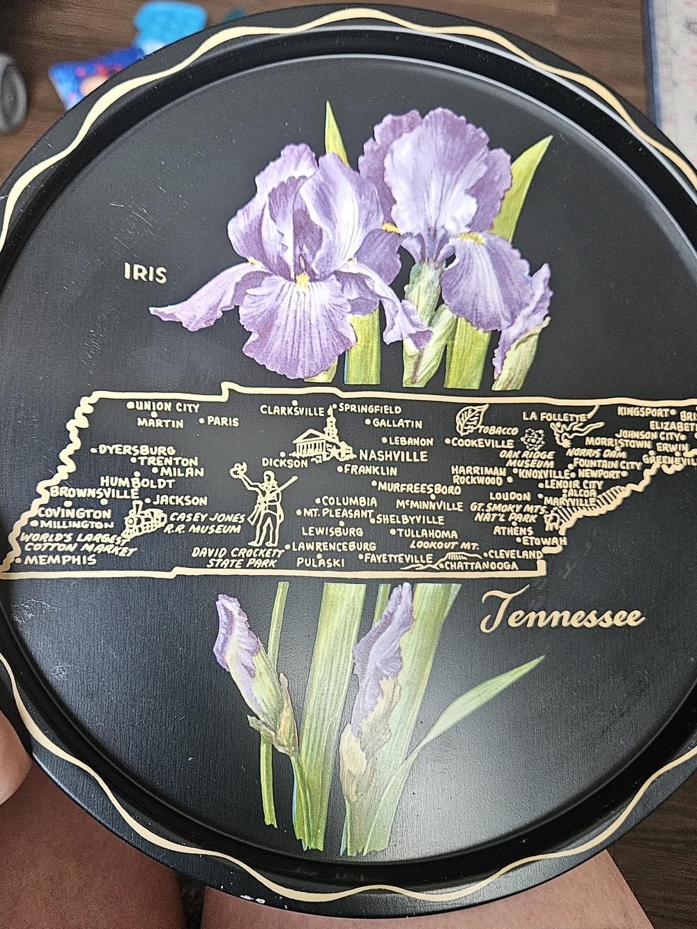 Vintage Tennessee State Souvenir Metal Serving Drink Tray Black 1960s Iris MCM